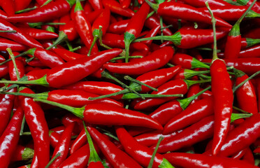 Many red hot chili peppers in market