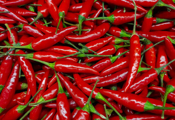 A close-up of many red hot peppers