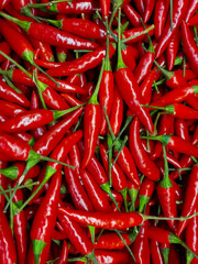 A close-up of many red hot peppers