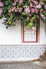 A vertical shot of a house adorned with painted tin-glazed ceramic tiles on the bottom wall, a vertical window with a red window border, and in front of the wall a section of a tree in full bloom