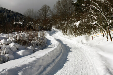 A snow-covered road leading through the forest. 