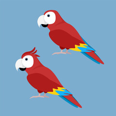 Two red parrots on a blue background