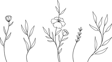 Set of minimal hand drawn botanical floral elements. Branches and leaves colors. Vintage botanical illustrations.