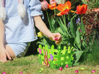 Hands caucasian teenage girl lays a chocolate easter egg in a green easter felt basket