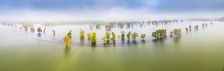 Flood in a forest. Aerial view of flooded forest after some spring rains. Nature landscape created...