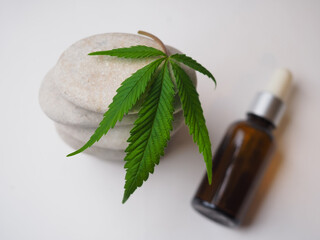 cannabis leaf on pebbles . medical marijuana
