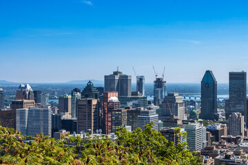Montreal cityscape view from the Mont Royal Park in a summer sunny day.