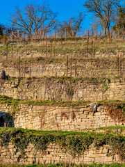 Mittelalterlicher Weinberg mit Sandstein Terrassen