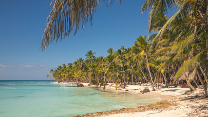 Tropical paradise. Saona Island, Dominican Republic