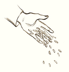 Obraz premium Pencil drawing. The hand sows the grain