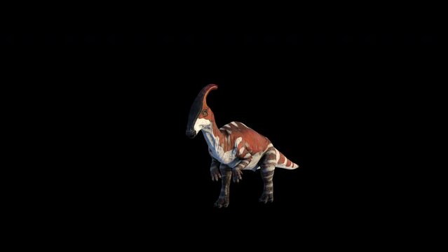 Dinosaur Parasaurolophus Run 3D Animation With Alpha Video