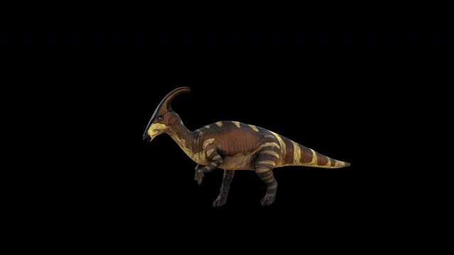 Dinosaur Parasaurolophus Run 3D Animation With Alpha Video