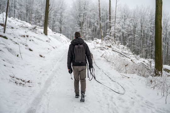 Young man with short brown hair, warm clothes and backpack walks his gray colored akita inu dog in the forest during winter with lots of snow, rear view