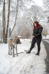 Woman with brown curly hair is teaching her gray colored akita inu dog to do something, standing on a frozen road during winter with lots of snow