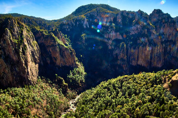 canyon with forest and river in sunny day, basaseachi chihuahua 