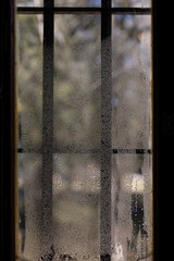 GOTAS EN VENTANA 2