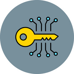 Key Programming Multicolor Circle Filled Line Icon