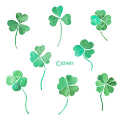Clover, plant, trefoil, shamrock, botanical,green plants, herb, watercolor illustration	