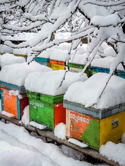 Bee hives in the winter frozen under snow