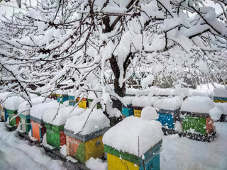 Bee hives in the winter frozen under snow