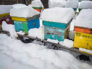 Bee hives in the winter frozen under snow