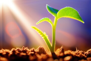 green plant in the sun