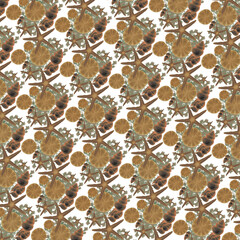 pattern seashell, decoration, pattern wallpaper