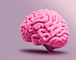 brain anatomy science intelligence human model medical mind medicine organ head health education neurology cerebellum biology idea cerebral Generative AI