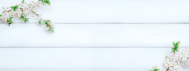 Sakura flower spring blossom and April floral nature on wooden background. Banner for 8 march, Happy Easter with place for text. Springtime concept. Top view. Flat lay.