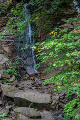 Fototapeta premium Waterfall in a deep forest at summer day. Fallen stones, tree brenches and old roots