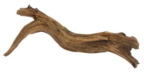 Driftwood over white background
