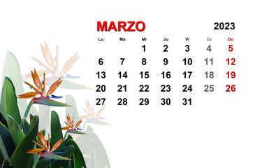 Calendario. Marzo, 2023. Fondo blanco con ave del paraíso. - obrazy, fototapety, plakaty