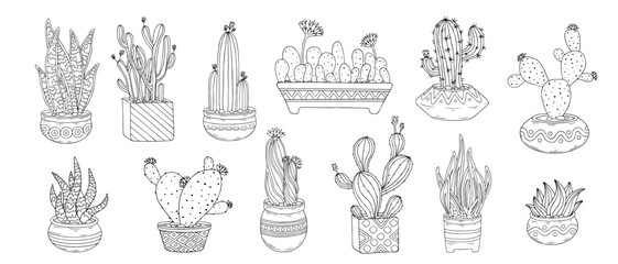 Set of doodle sketches of catus, succulents in flower pots. Vector graphics of simple plants.	