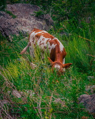 Paisajes
 Viajes
 Argentina
 Naturaleza
cielo
amanecer
atardecer 