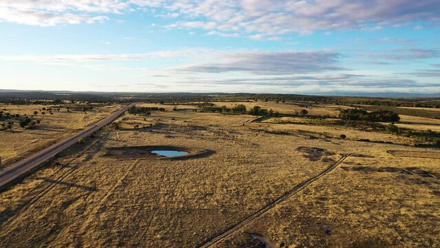 Aerial view of cattle in countywide in Zamora, Spain.