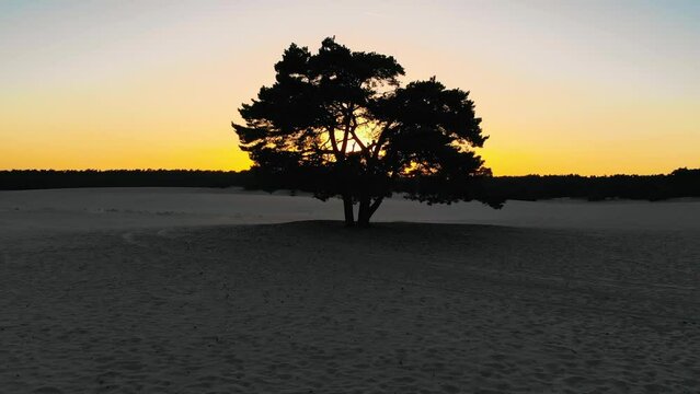 Aerial drone shot of dunes in Soest, The Netherlands