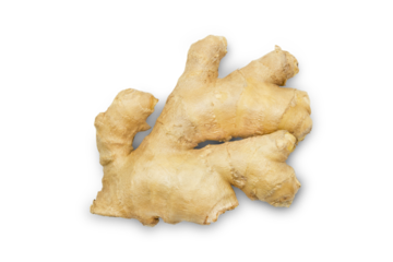 Fresh raw ginger isolated on white background, top view.