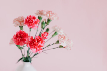Beautiful pink Carnation flowers in a vase on a pink pastel background. \