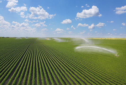 Aerial view of irrigation system rain gun sprinkler on agricultural soybean field helps to grow plants in the dry season. Drone shot of landscape rural scene beautiful sunny day, clouds and blue sky
