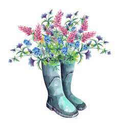 Wildflowers in rubber boots, summer bloom, mesdow, floral arrangement clipart
 Stock illustration. Hand painted in watercolor.