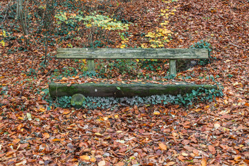 Old wood bench with autumn leaves in the Nettetal in autumn, Osnabrueck country, Lower Saxony, Germany