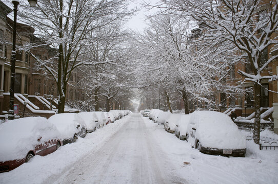 Snow Covered Road