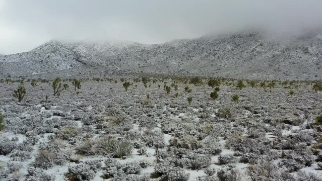 Rare desert snow storm on Joshua trees, snow covered mountains, cloudy sky, aerial side truck shot, medium angle