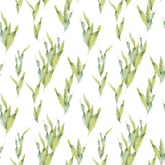 Seamless pattern with watercolor laminaria. Hand painted underwater floral illustration with algae leaves branch isolated on white background. Seaweed for design, fabric or print