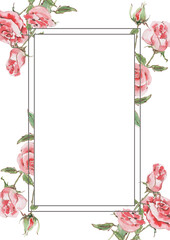 Rectangular flower frame. Bouquets of pink rose flowers with buds on a stem with green leaves. Hand drawn watercolor illustration  on white background for cards, print, wedding invitations, banner.