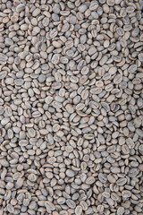 Coffee bean in various stage Raw beans to dark roast. coffee beans showing various stages of roasting from raw through to Italian roast.