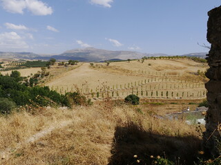Naklejka premium Ronda