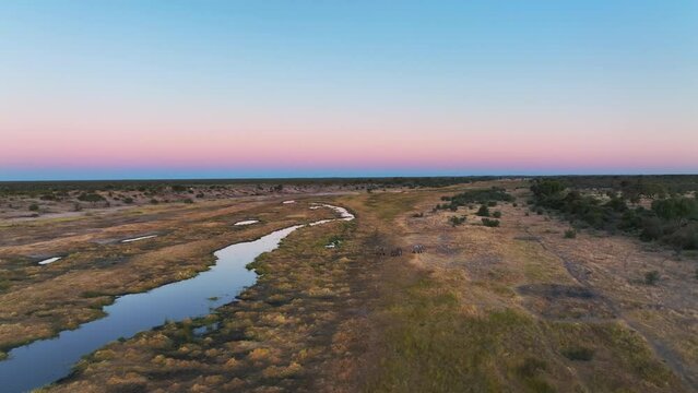 Aerial view of Boteti river at sunset in a national park, Botswana, Africa.