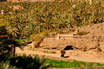 Marocco, regione Sousse Massa, antico villaggio berbero fortificato