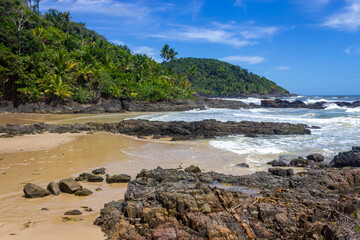 Fototapeta na wymiar Rocks and forest at Camboinha beach